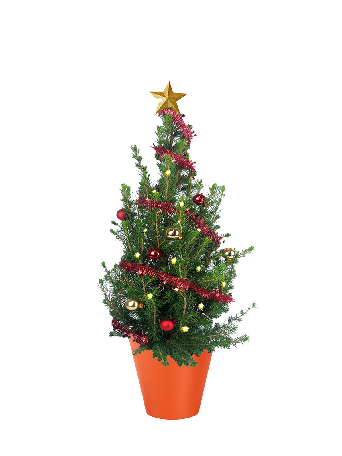 Albero di Natale grande