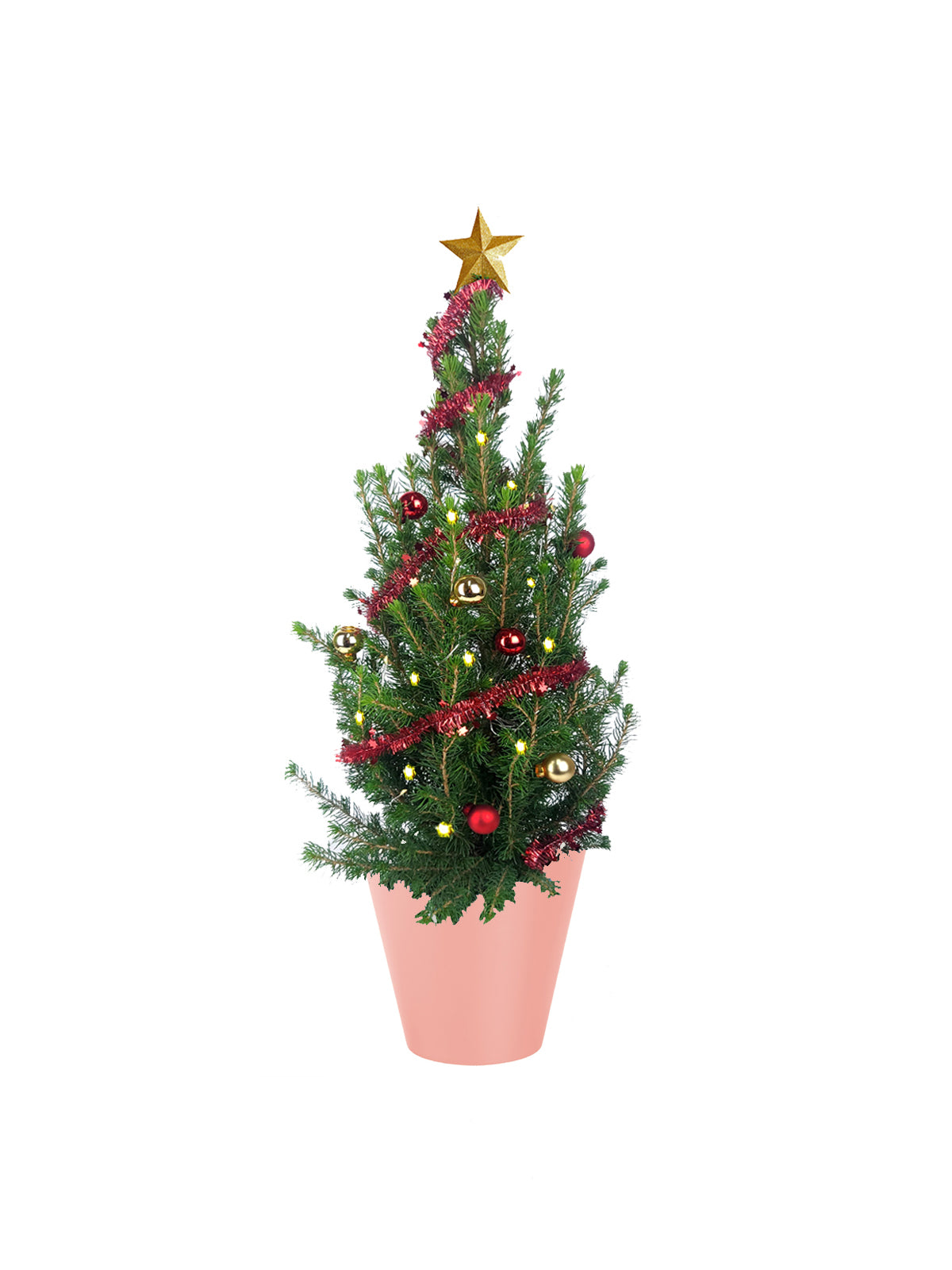 Albero di Natale
