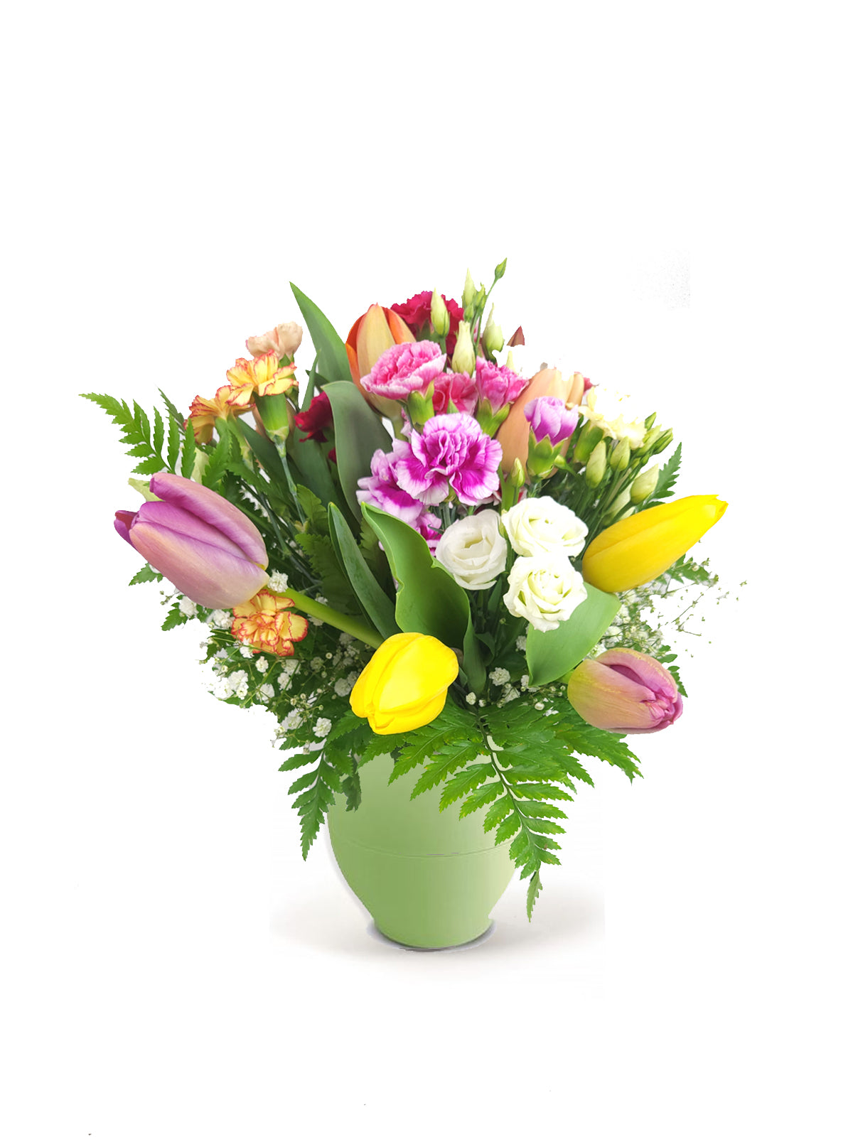 Tulipani e Fantasia