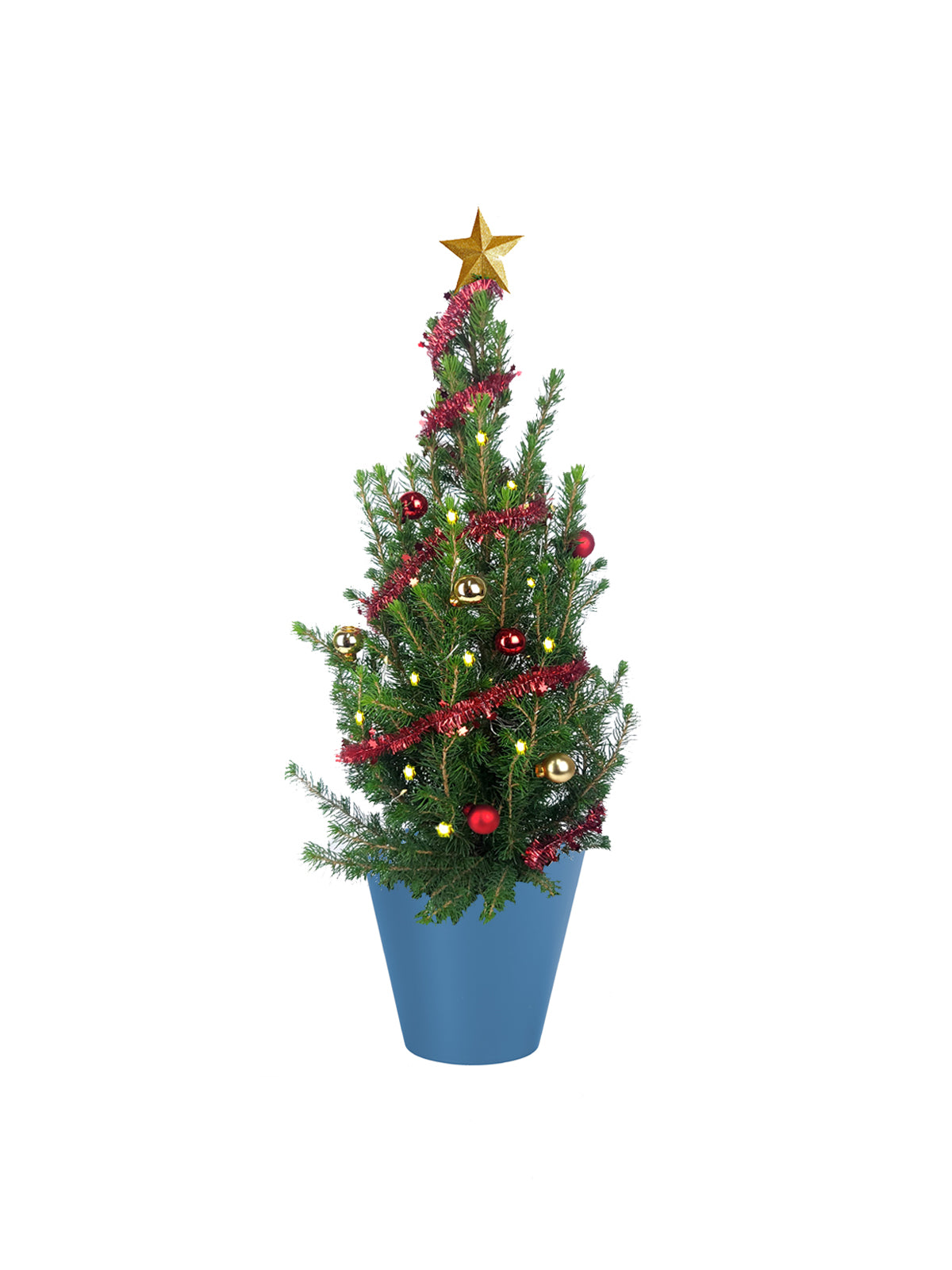 Albero di Natale