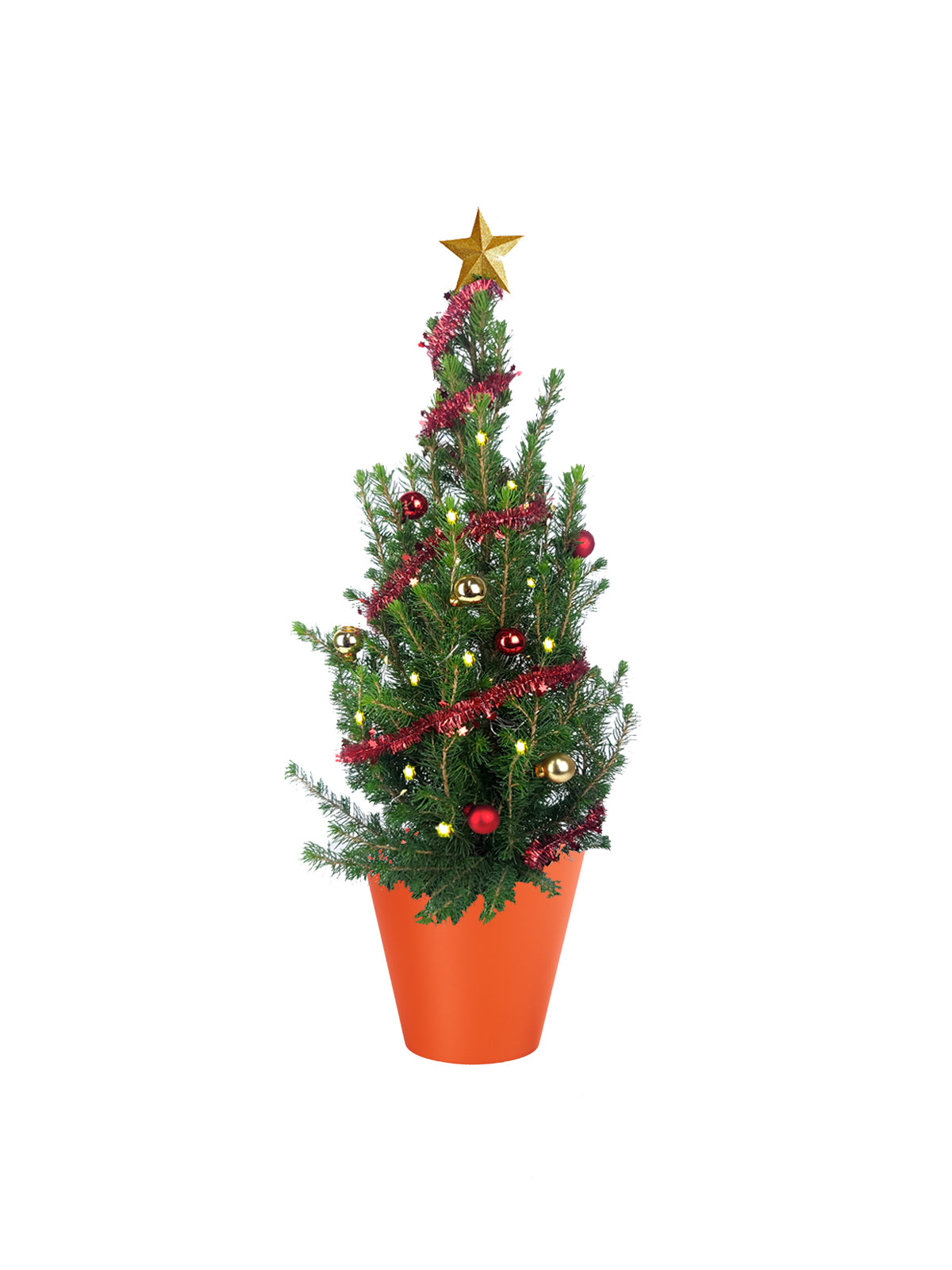 Albero di Natale