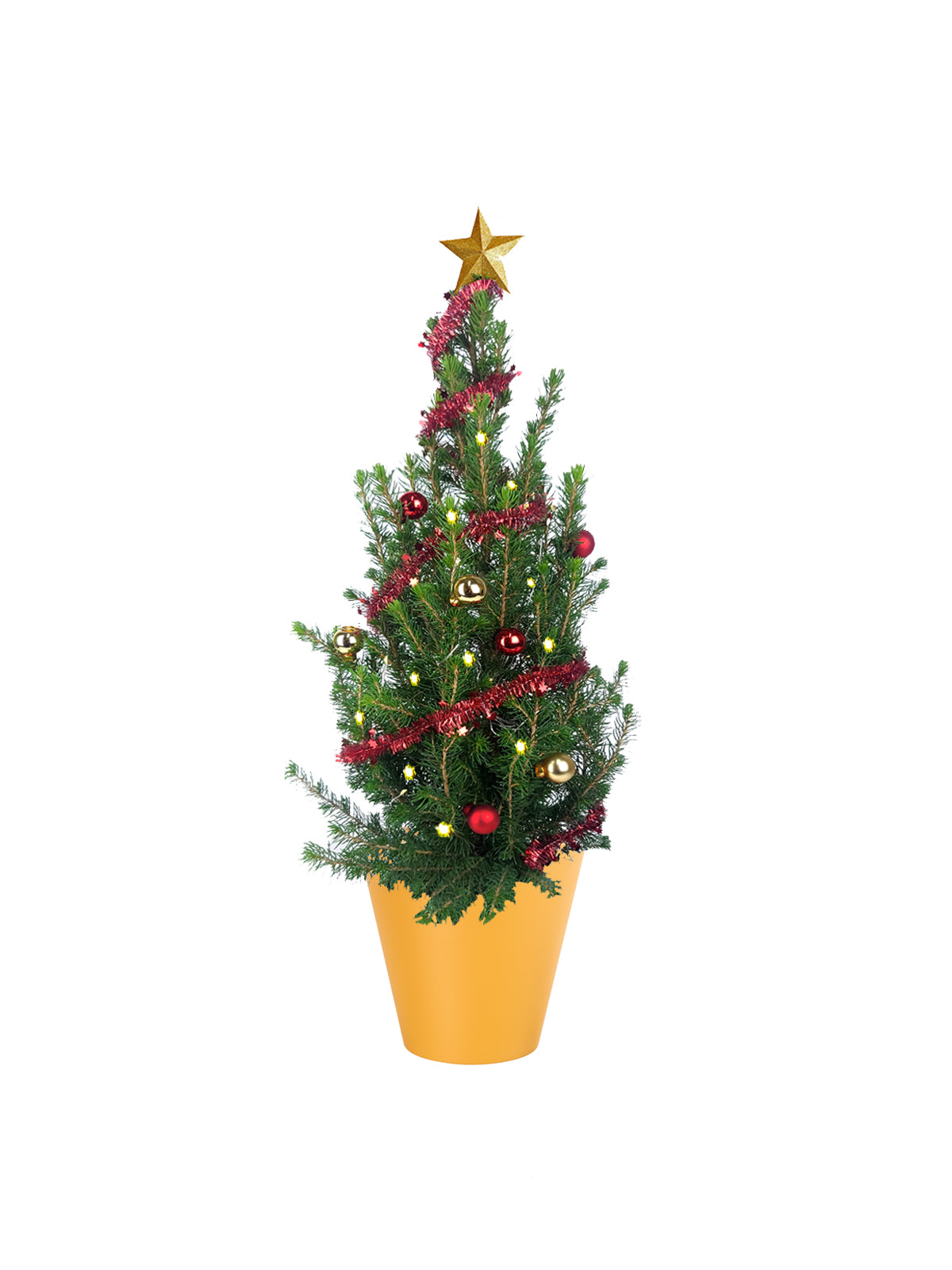 Albero di Natale