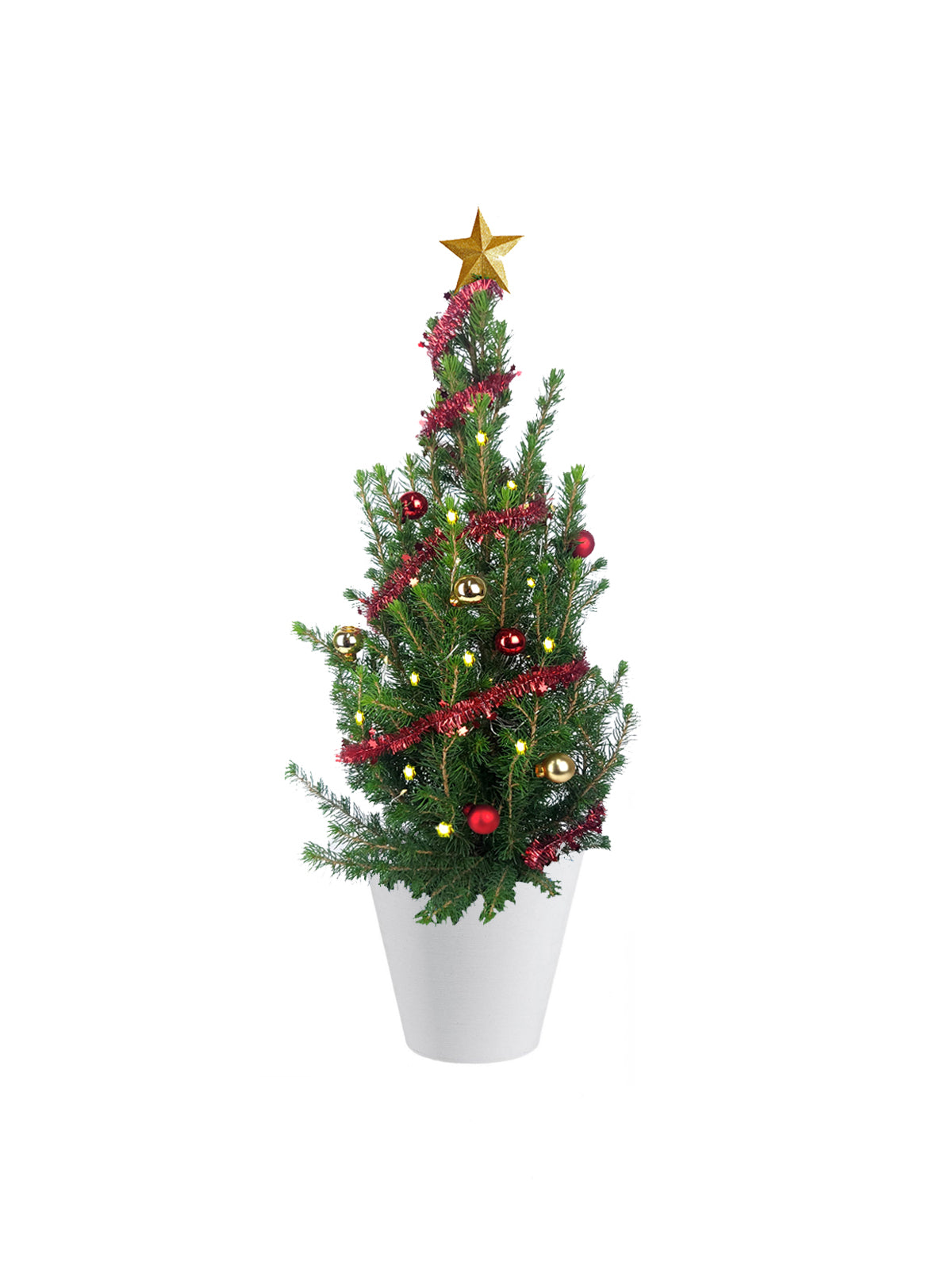 Albero di Natale