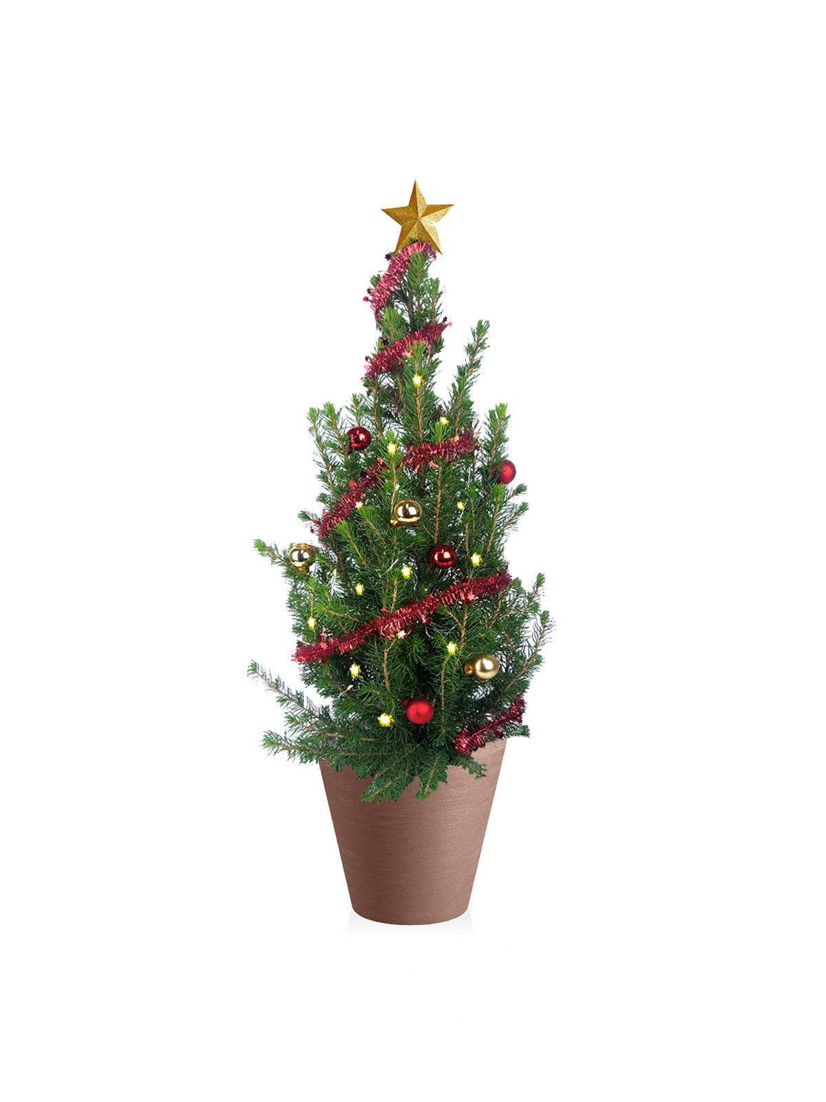Albero di Natale