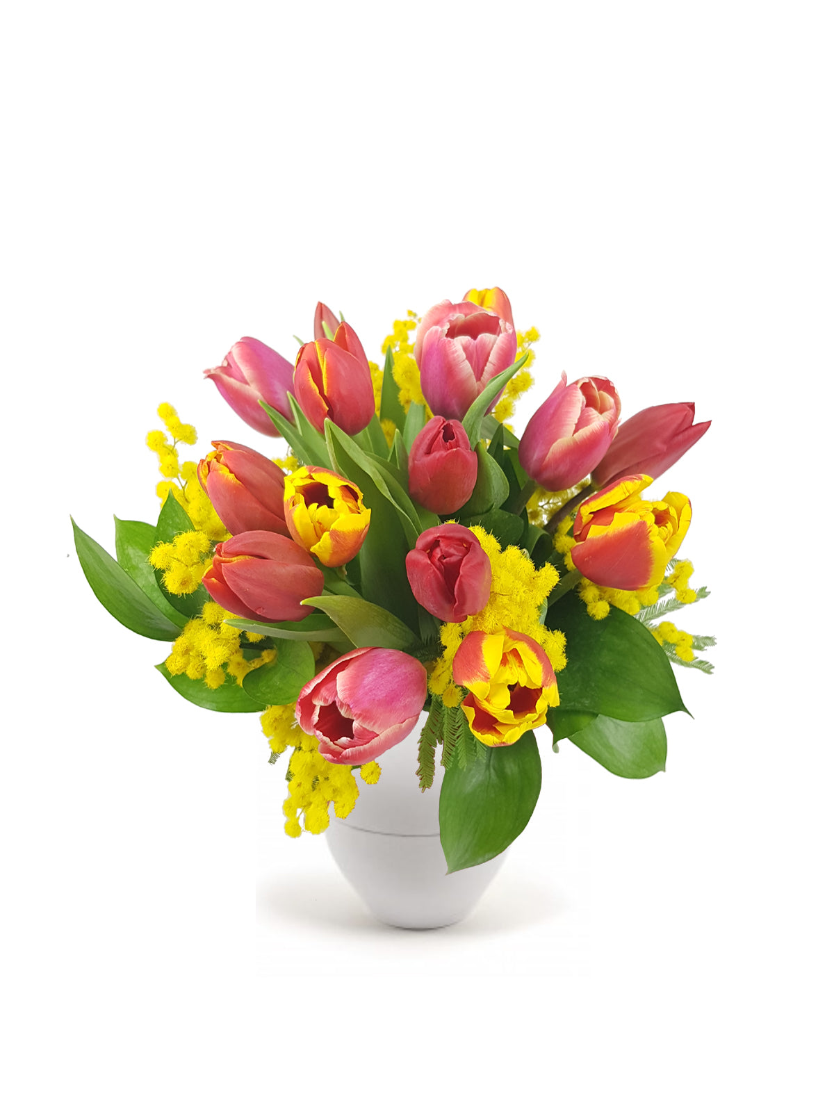 Tulipani con Mimosa