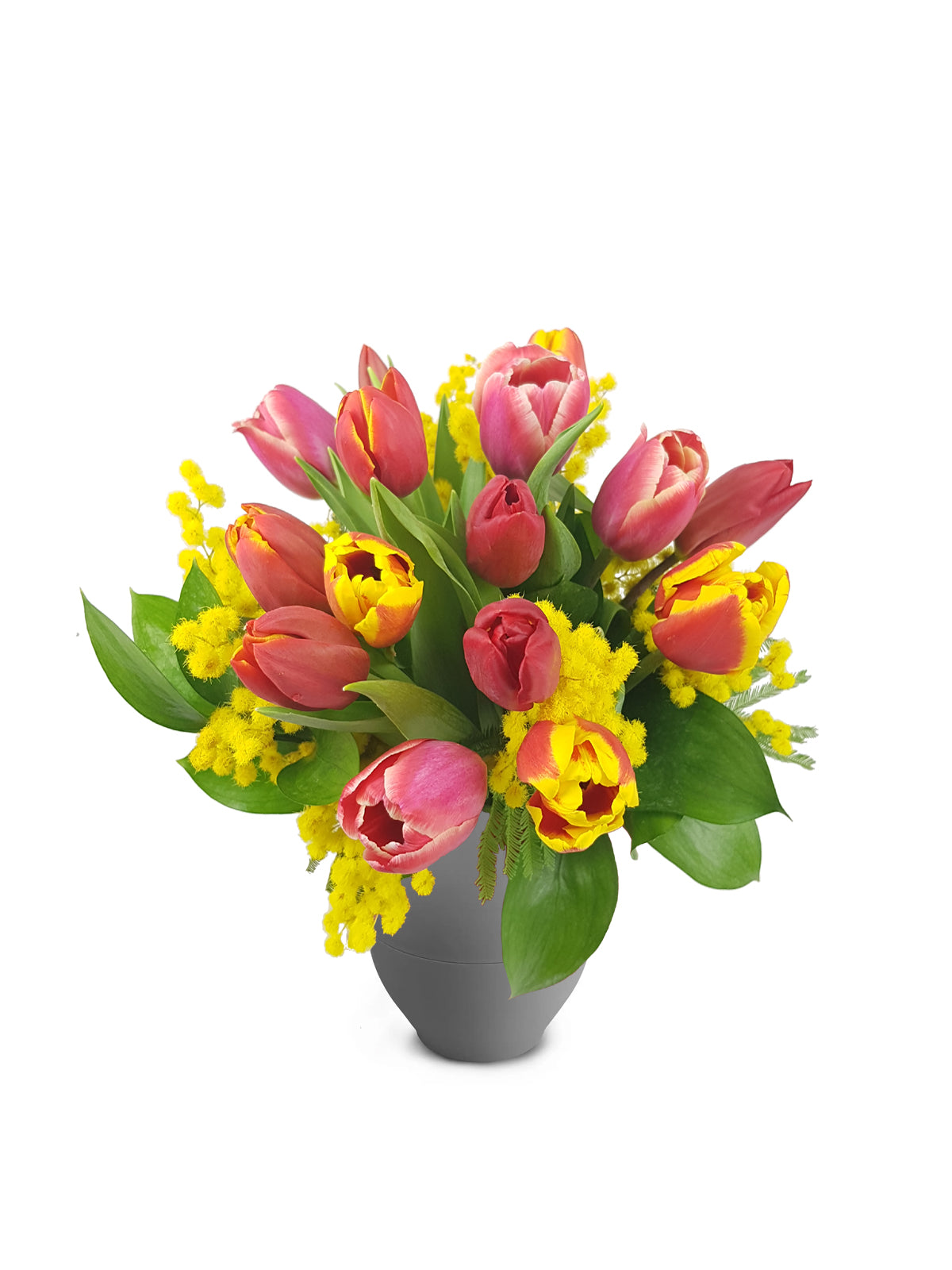 Tulipani con Mimosa