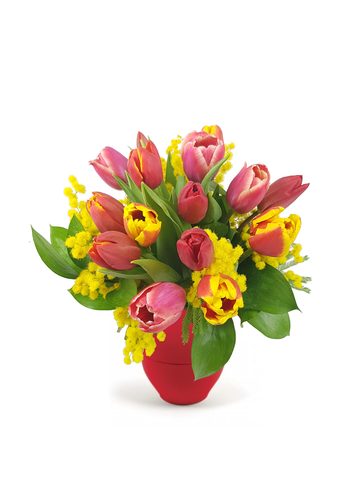 Tulipani con Mimosa