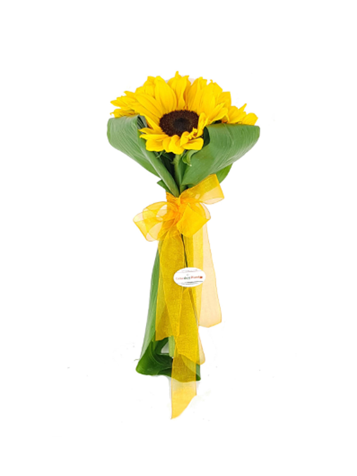 Mazzolino di Girasoli