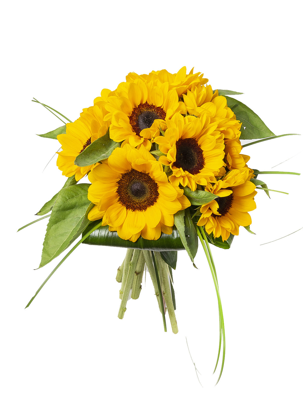 Mazzo di Girasoli