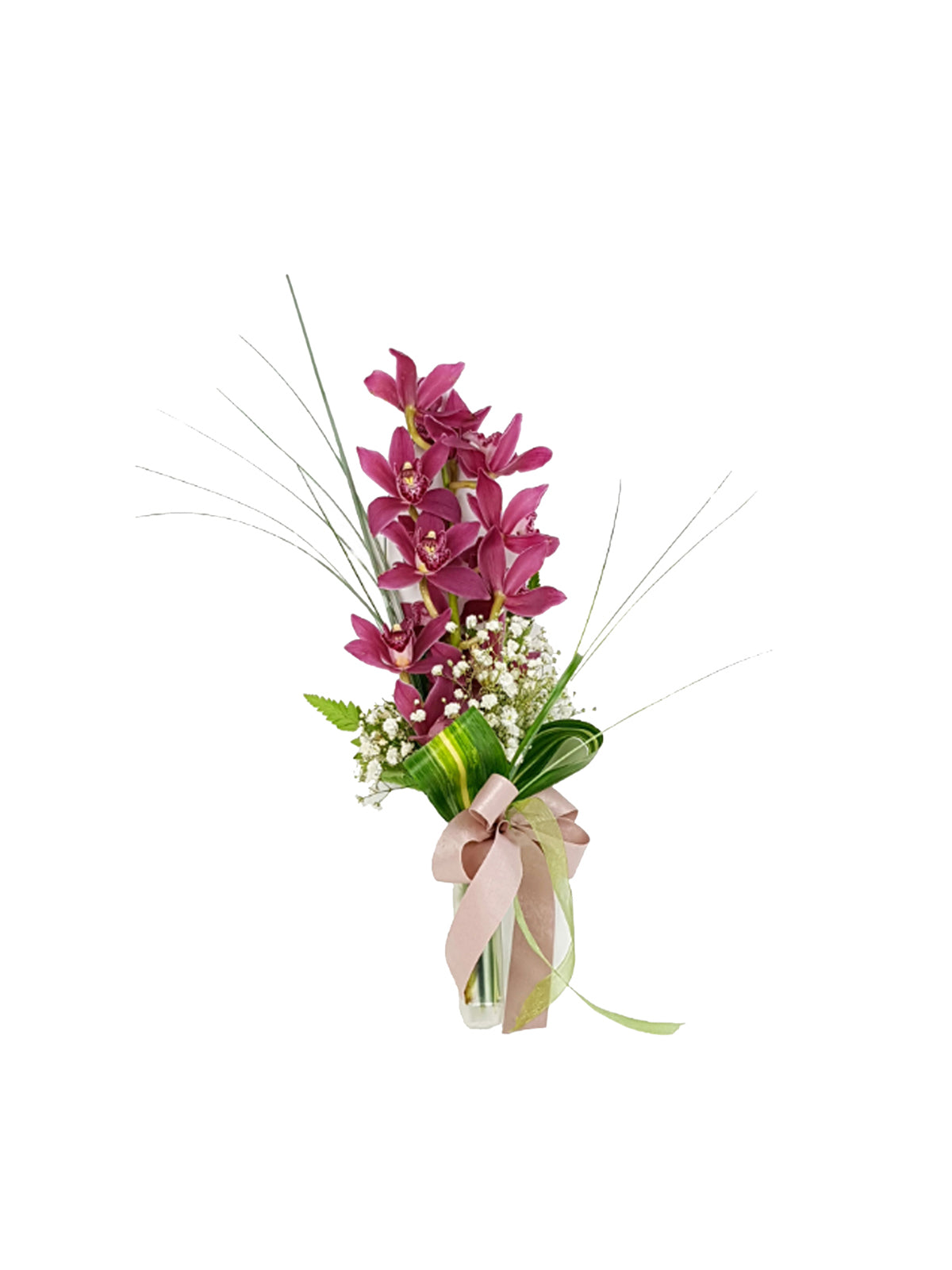 Ramo di Orchidea