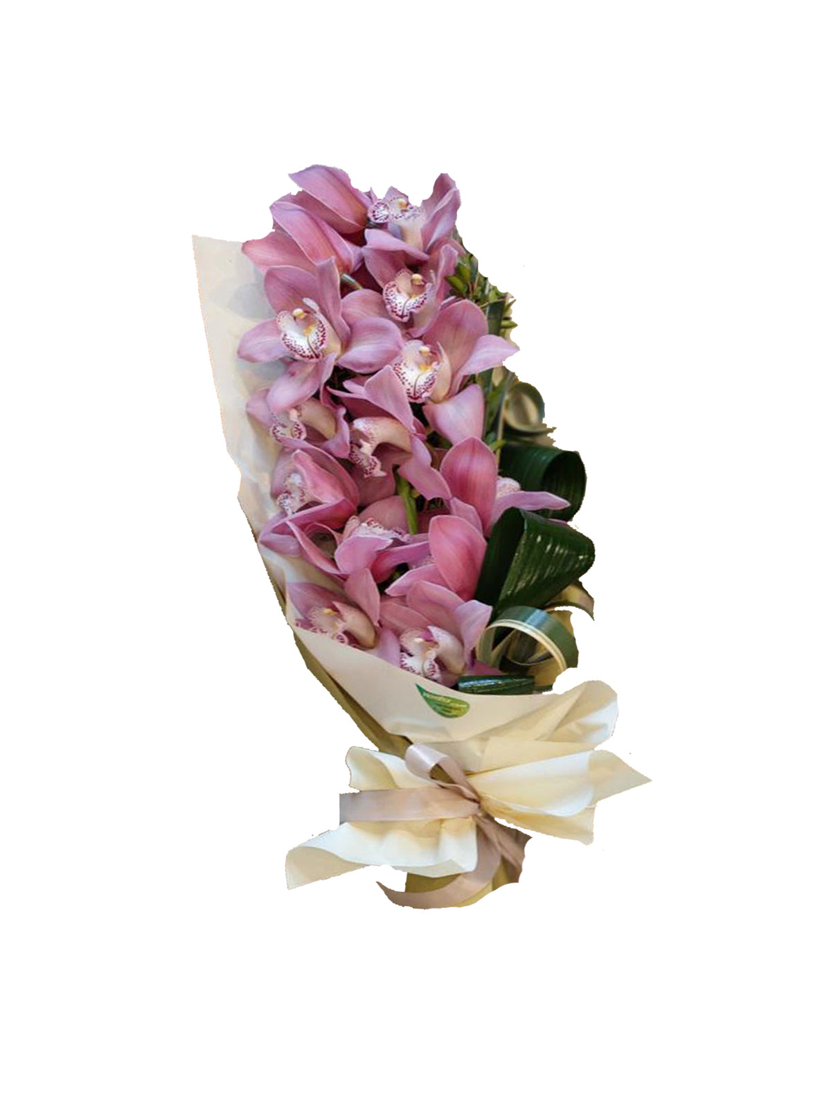 Ramo di Orchidea Gigante