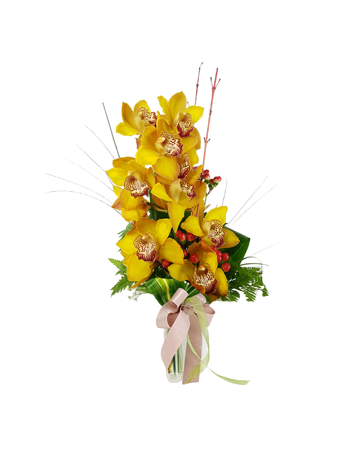 Ramo di Orchidea Grande