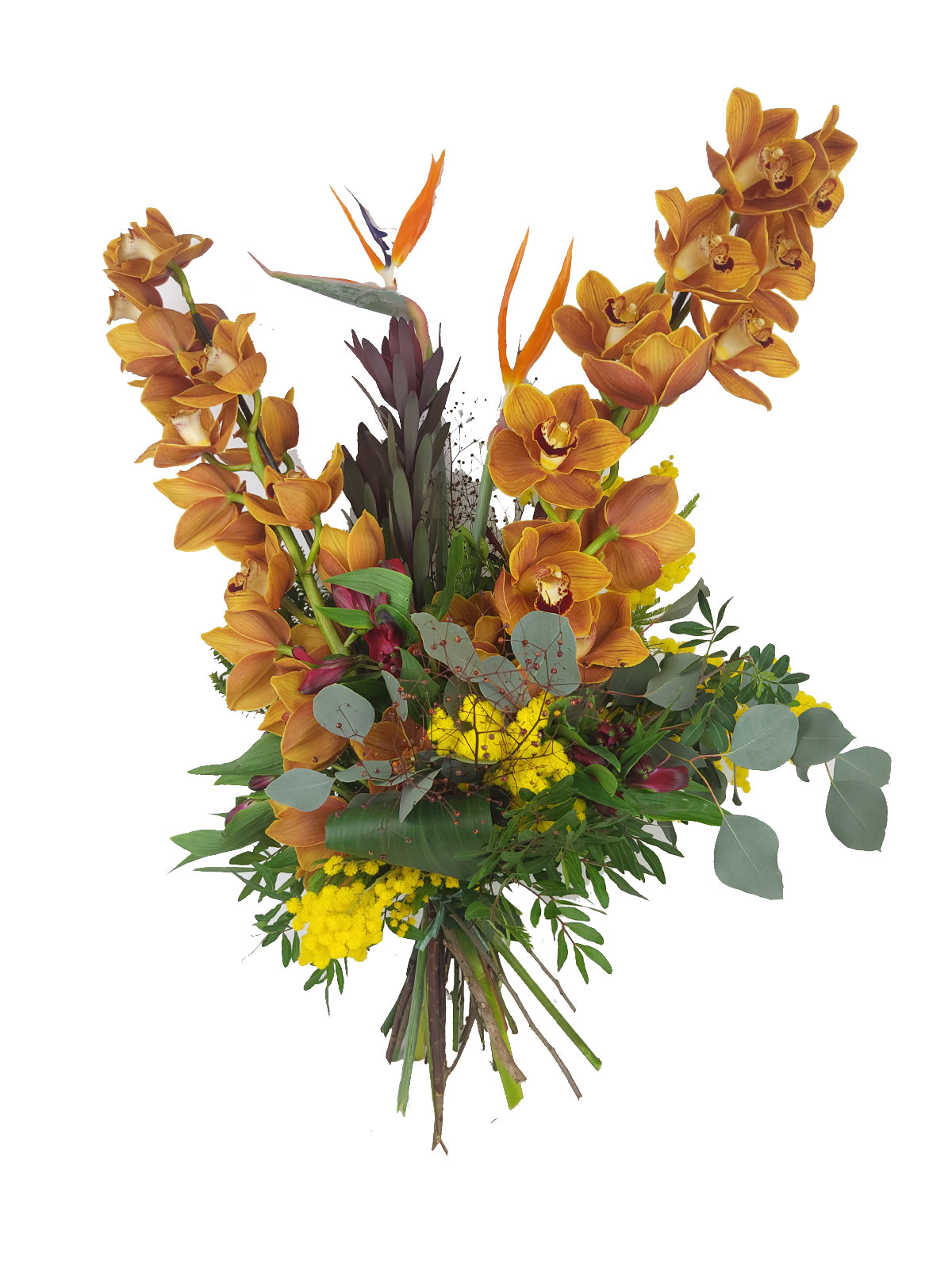 Ramo di Orchidea Prestigioso
