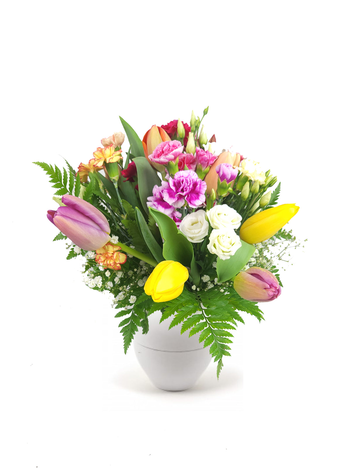 Tulipani e Fantasia