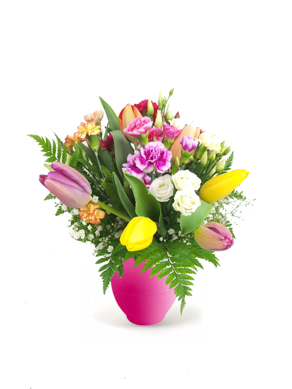 Tulipani e Fantasia