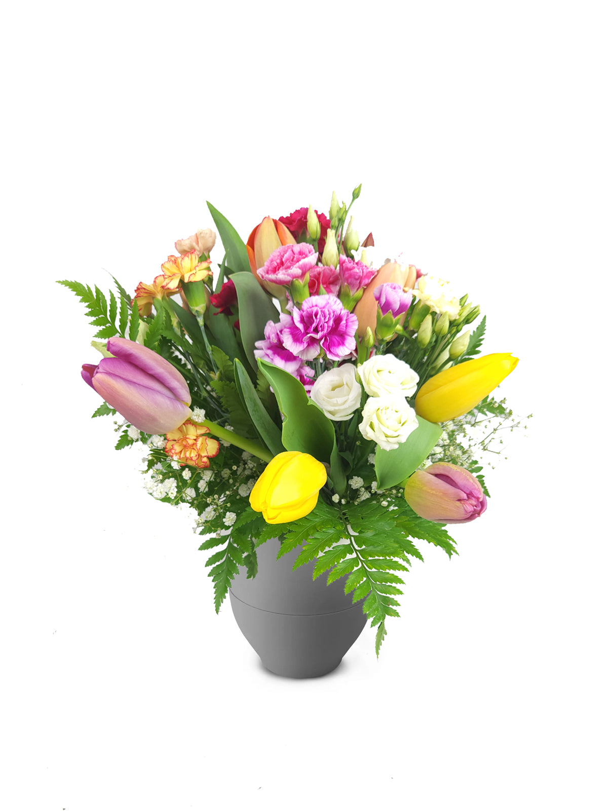 Tulipani e Fantasia