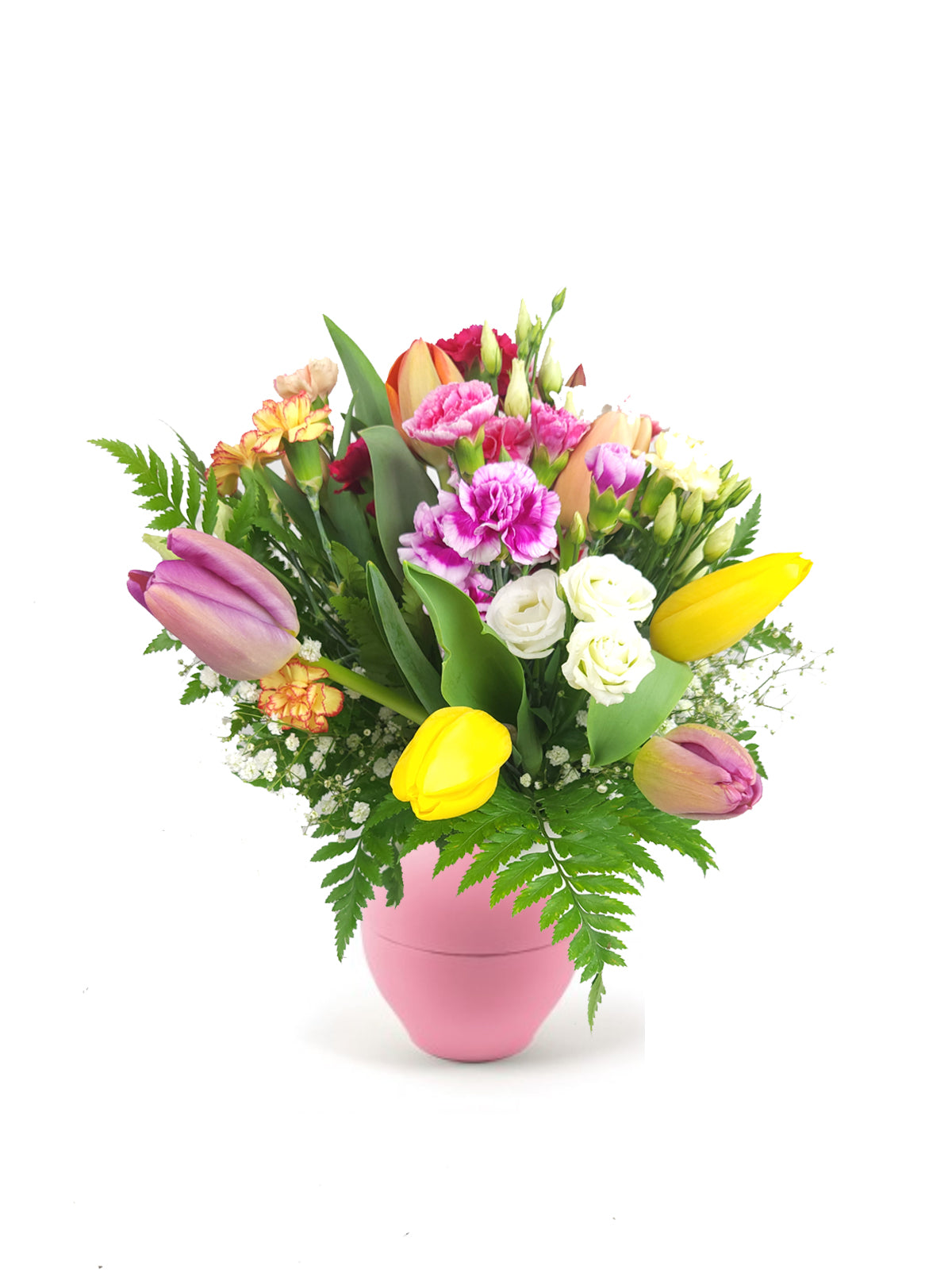 Tulipani e Fantasia