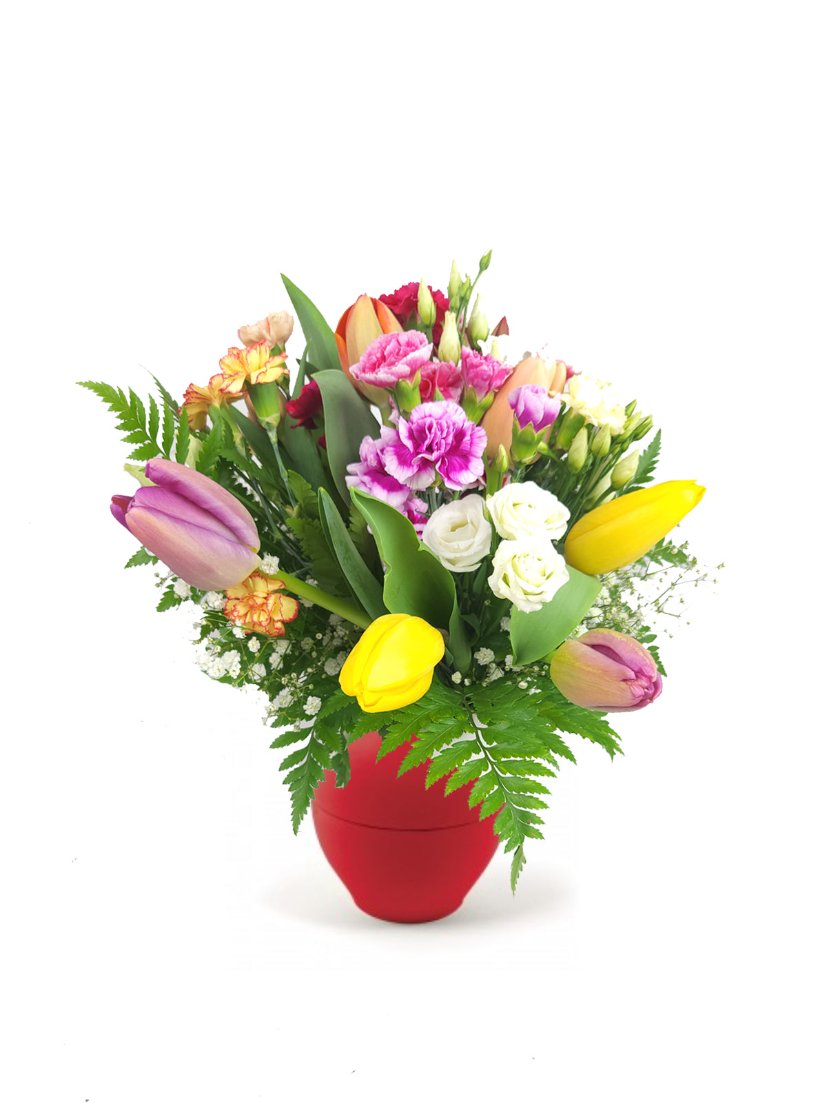Tulipani e Fantasia