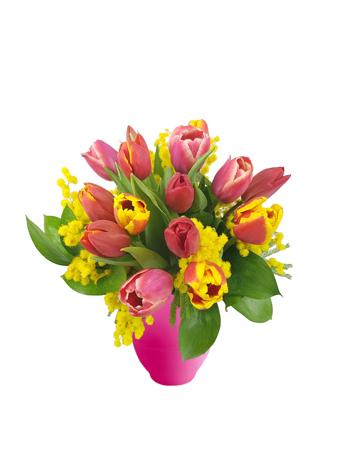 Tulipani con Mimosa
