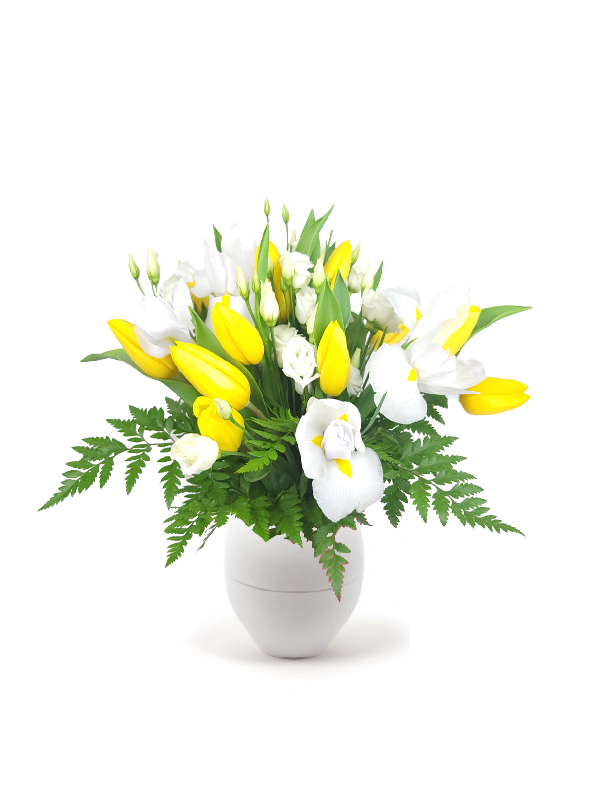 Tulipani Gialli in Bianco