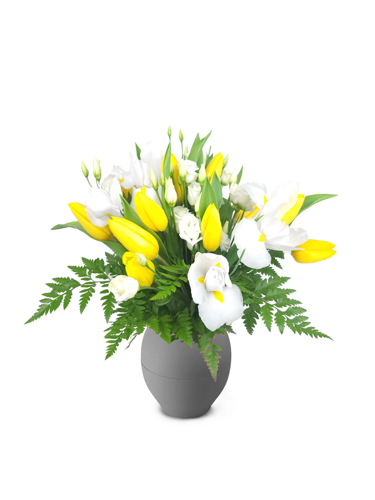 Tulipani Gialli in Bianco