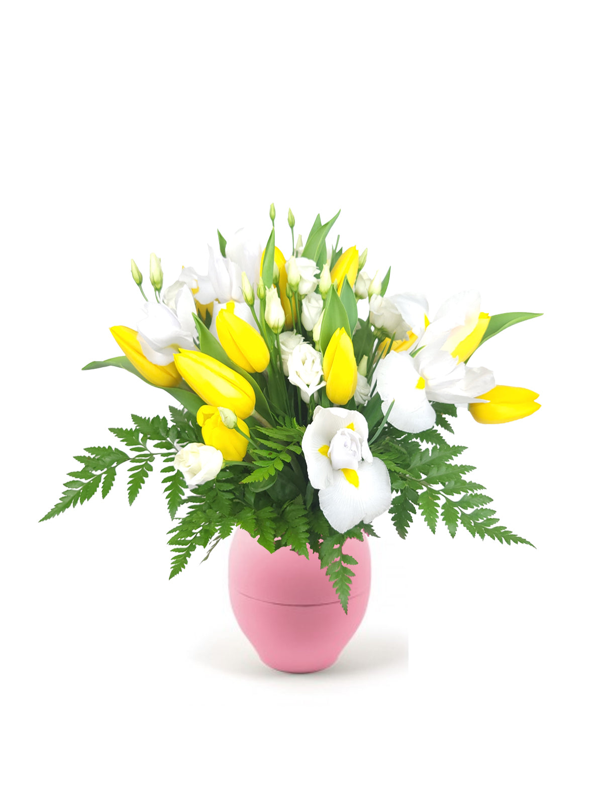 Tulipani Gialli in Bianco