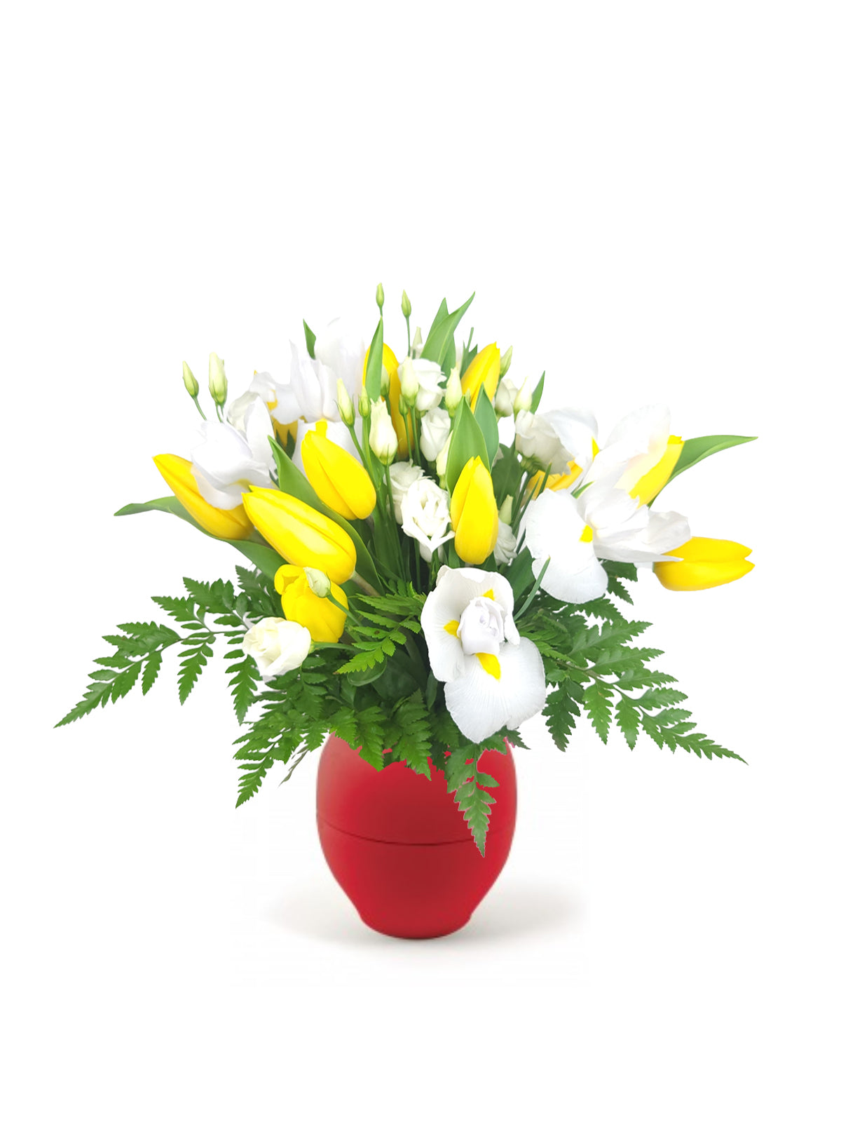 Tulipani Gialli in Bianco