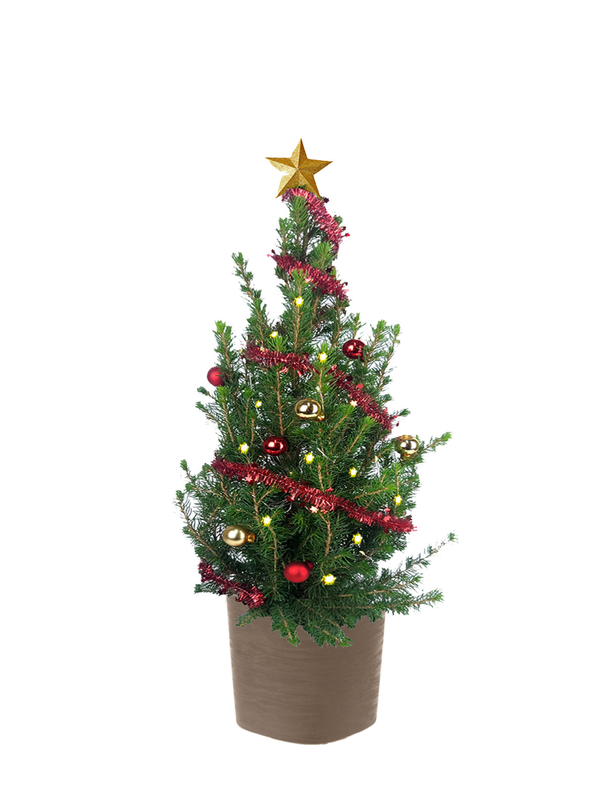 Albero di Natale grande