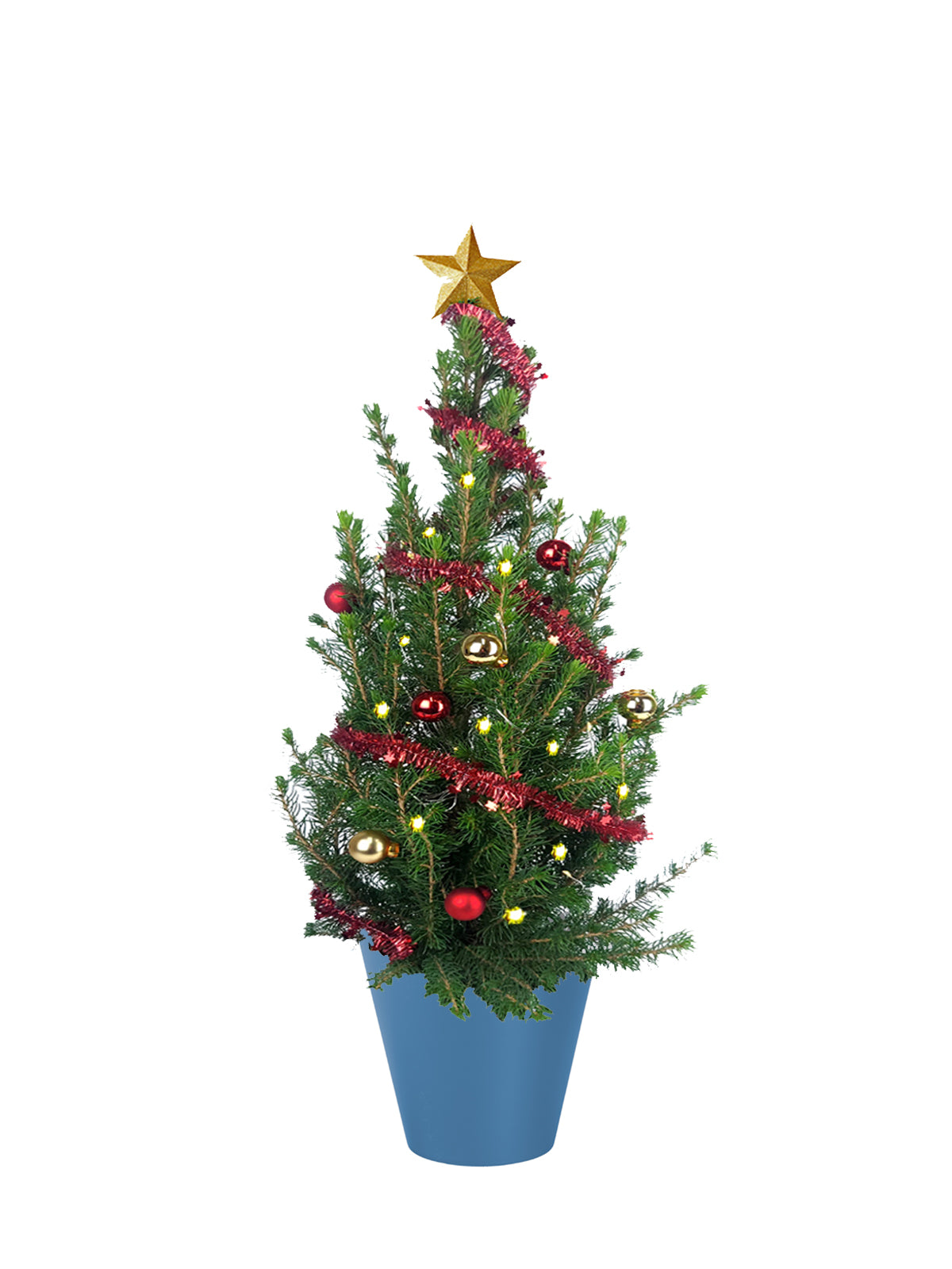 Albero di Natale grande