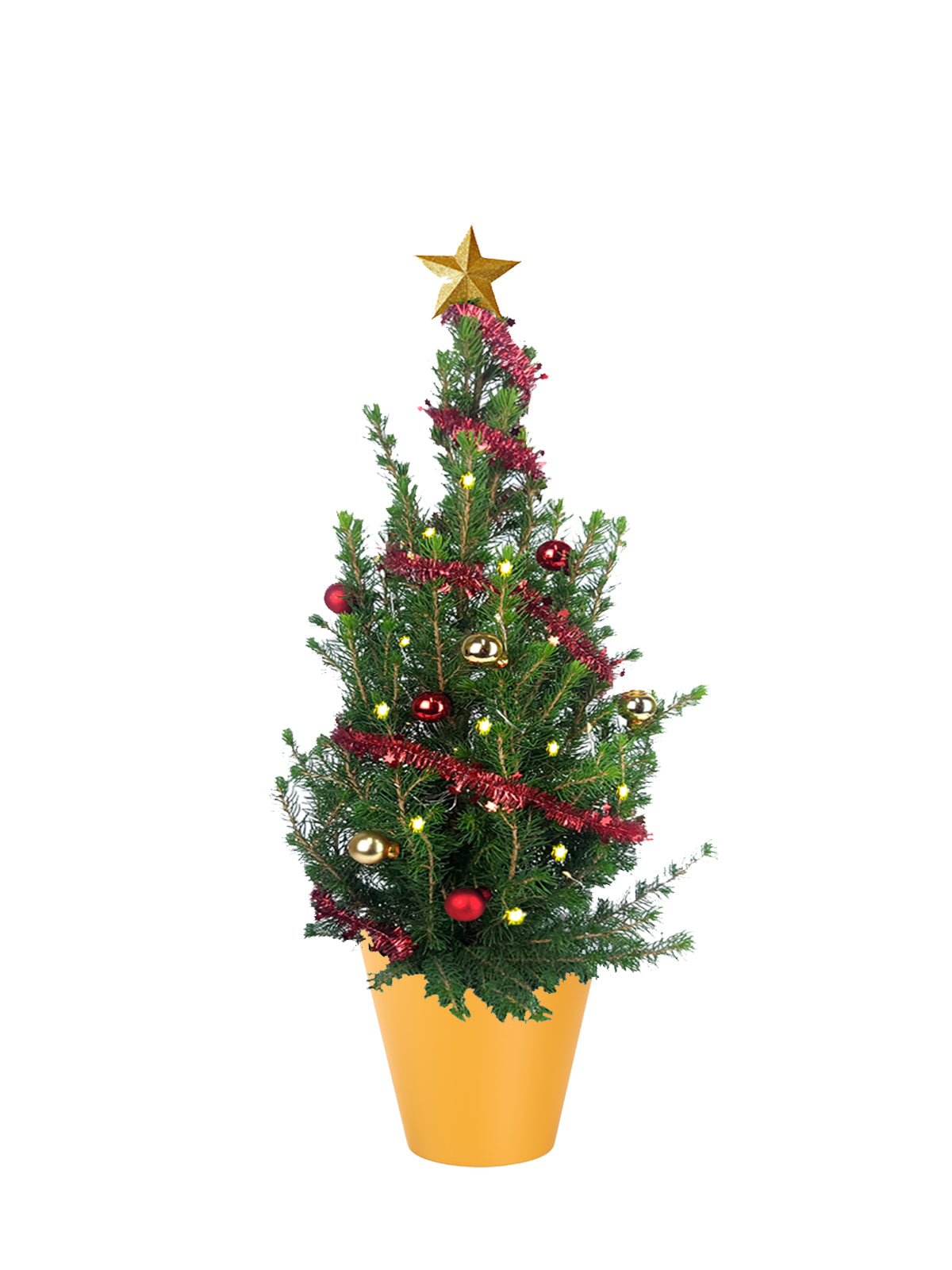 Albero di Natale grande