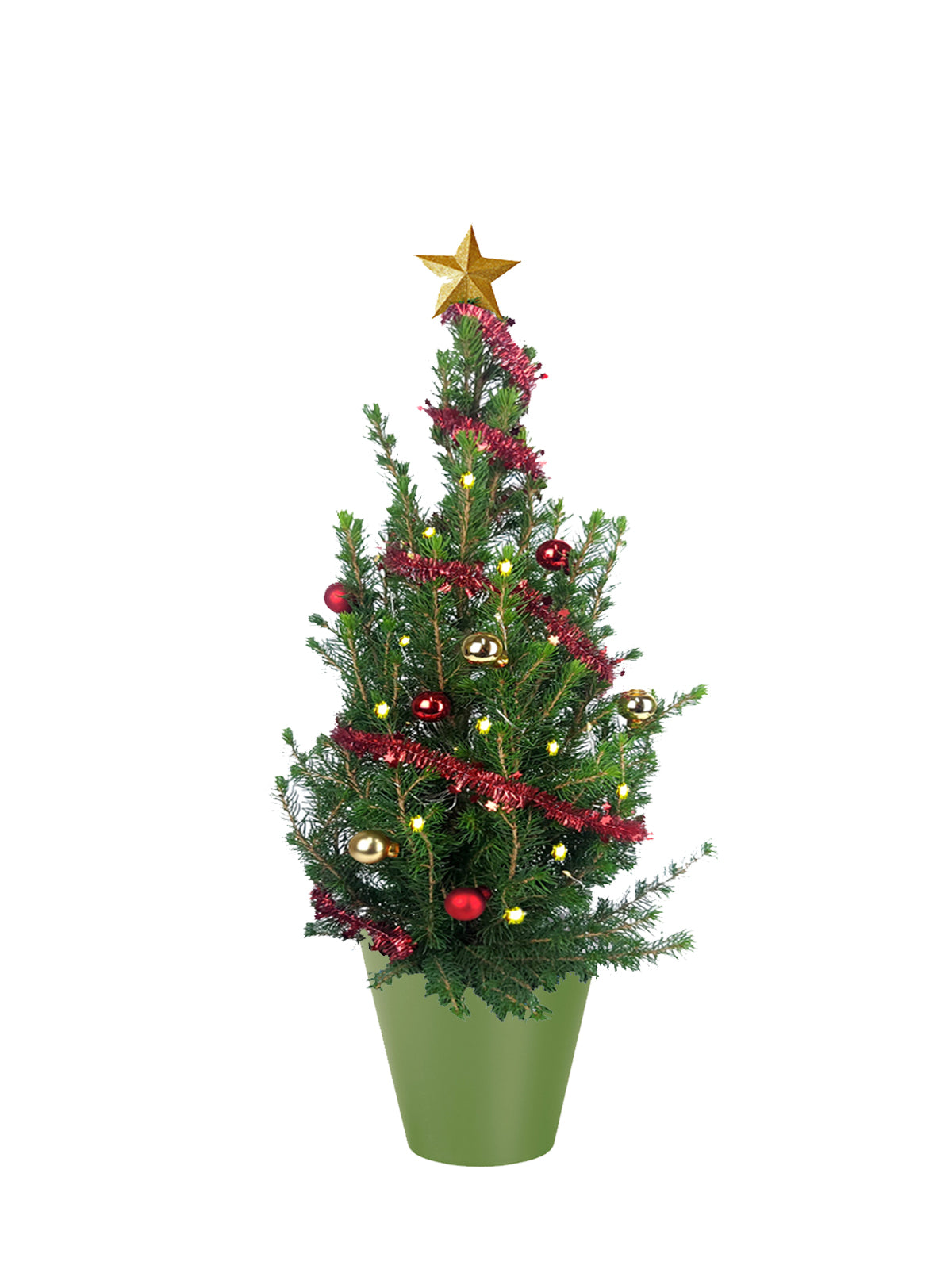 Albero di Natale grande