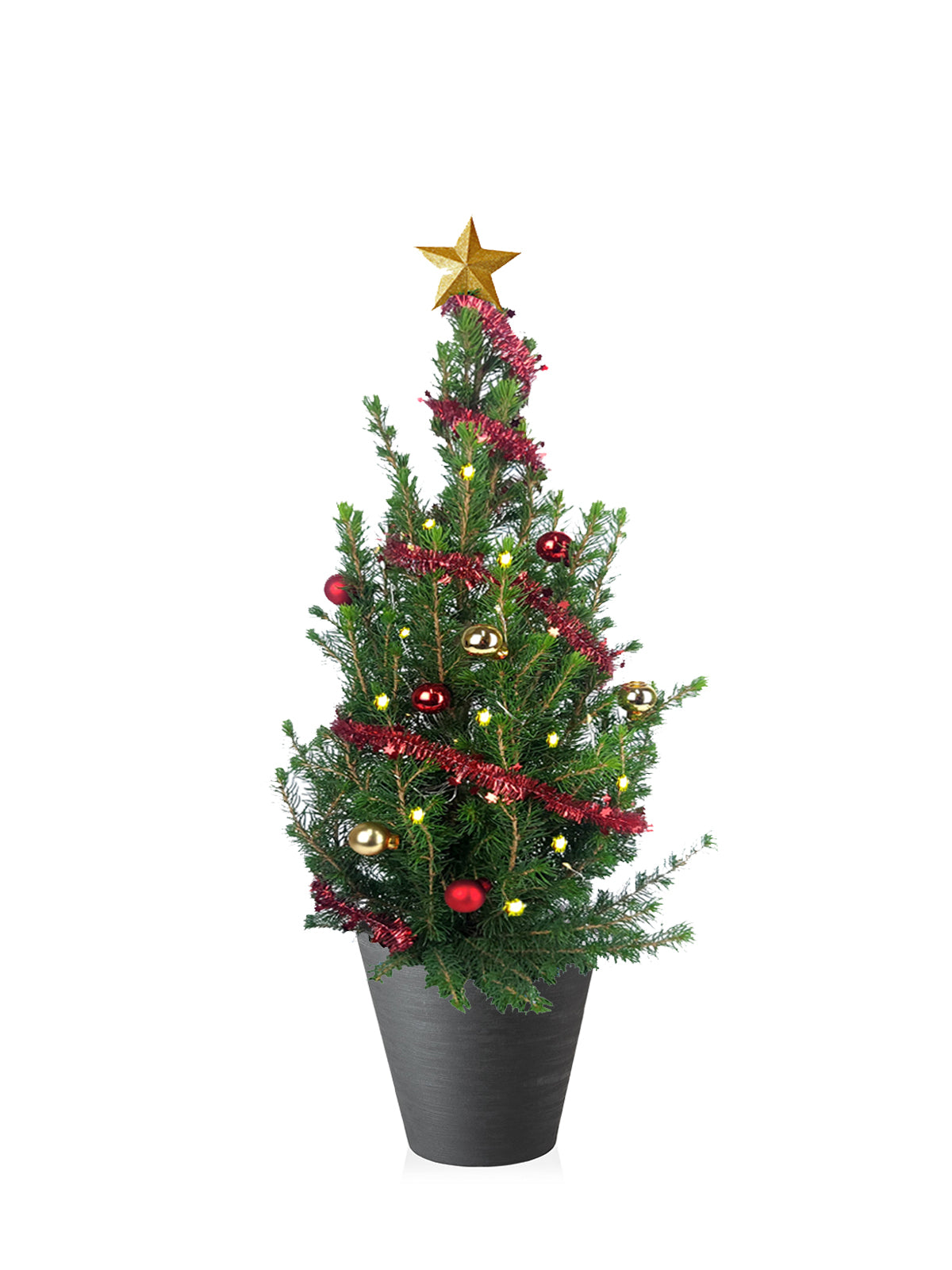 Albero di Natale grande