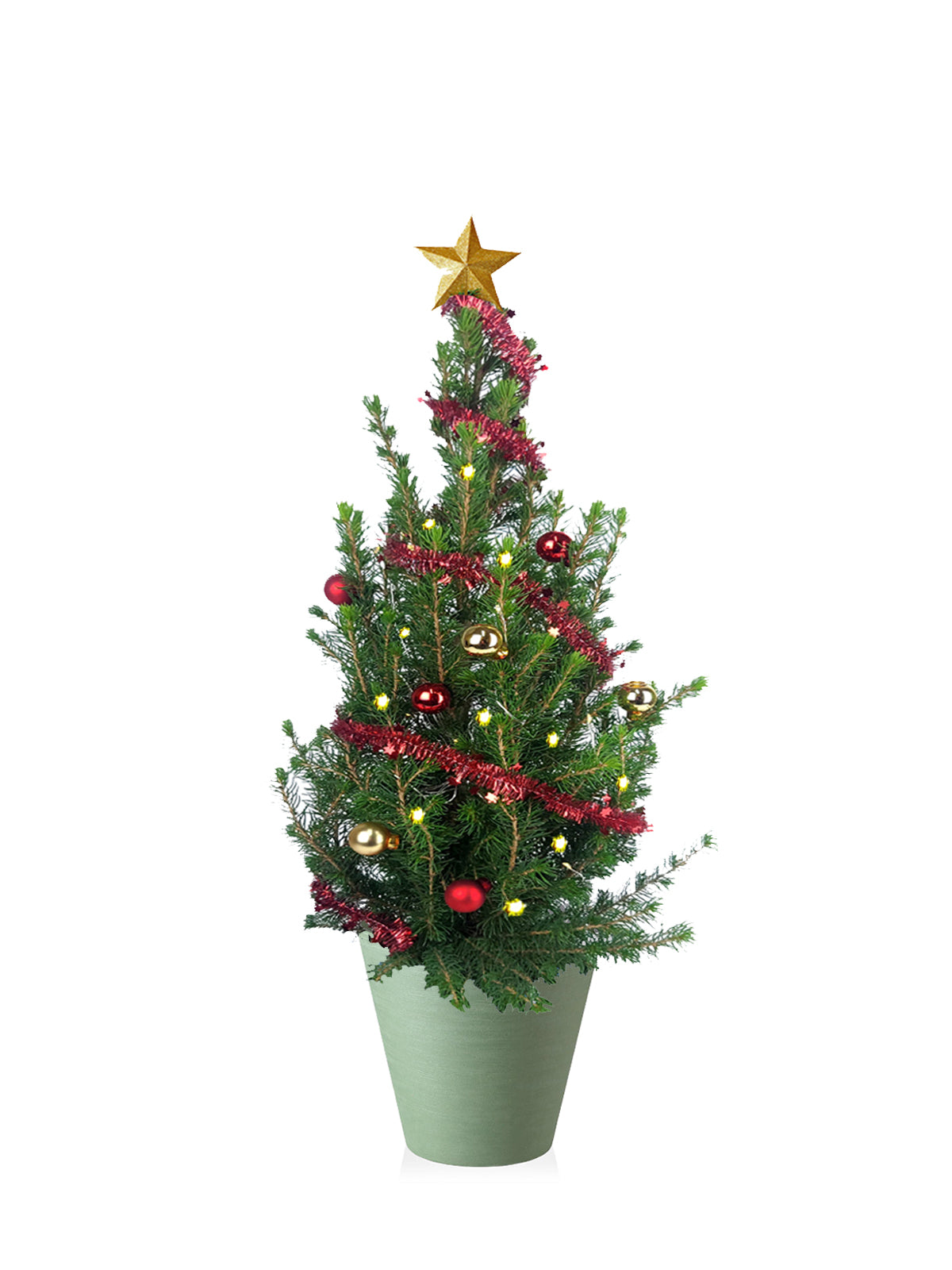 Albero di Natale grande