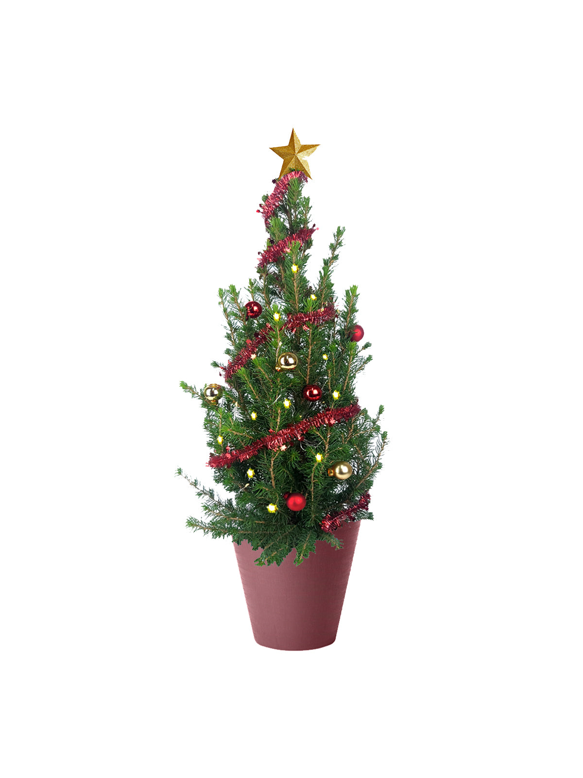 Albero di Natale