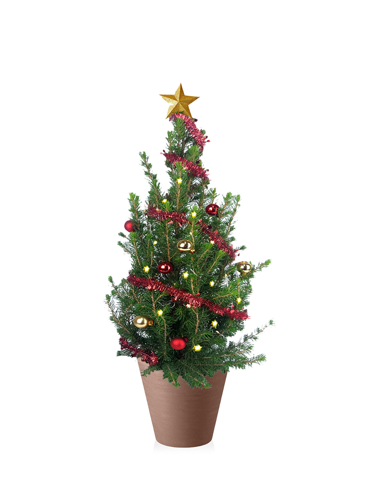 Albero di Natale grande