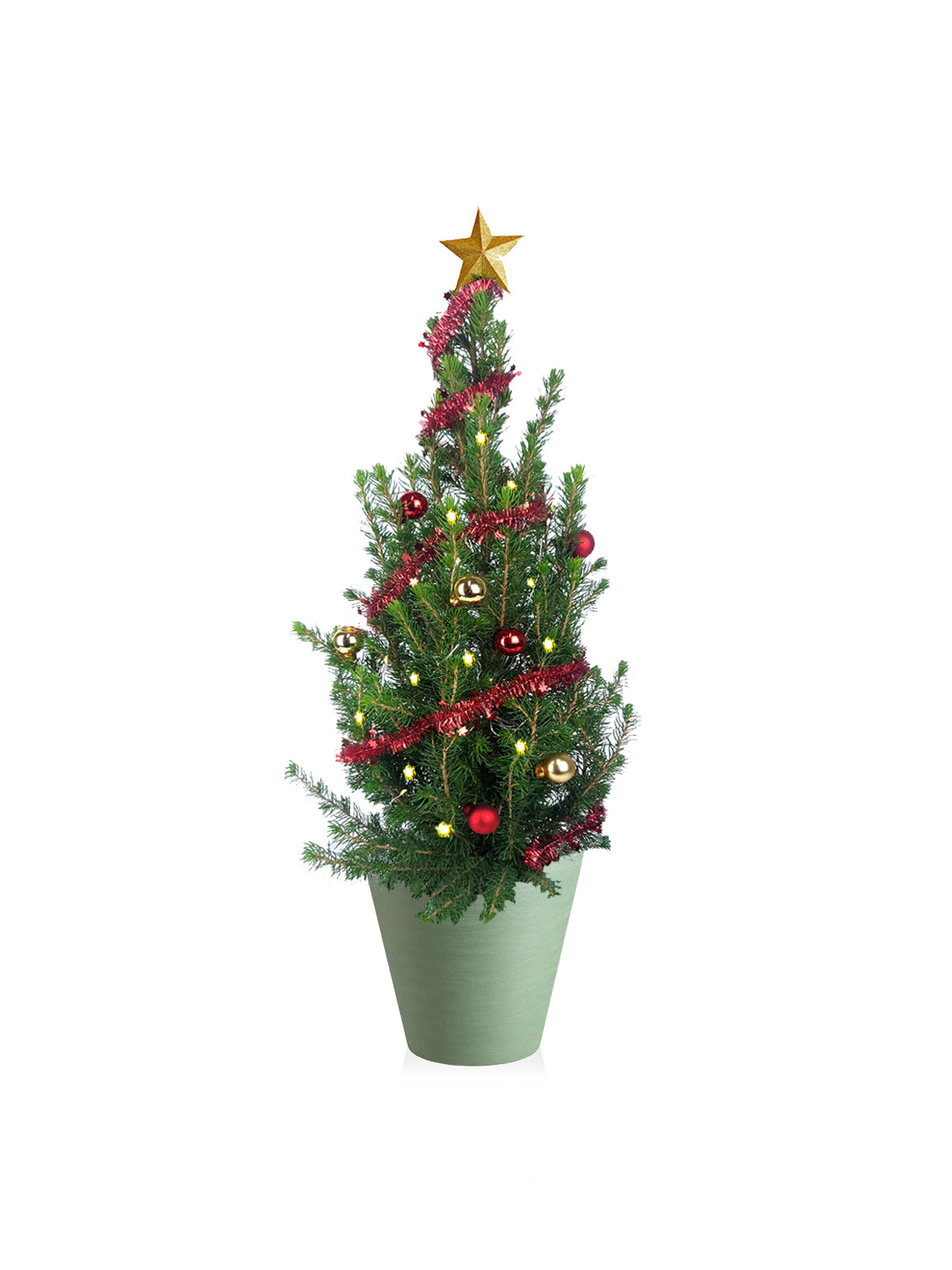 Albero di Natale