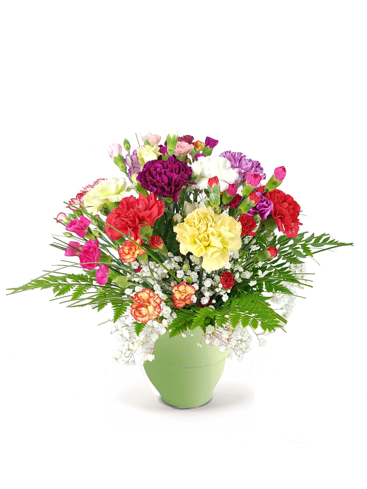 Bouquet di Garofani