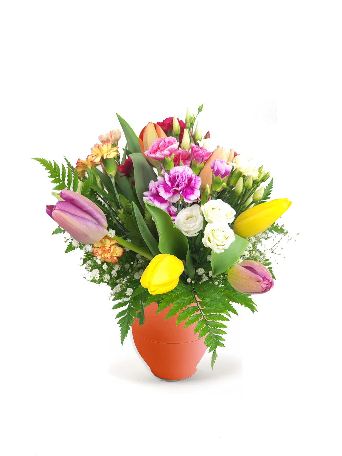 Tulipani e Fantasia