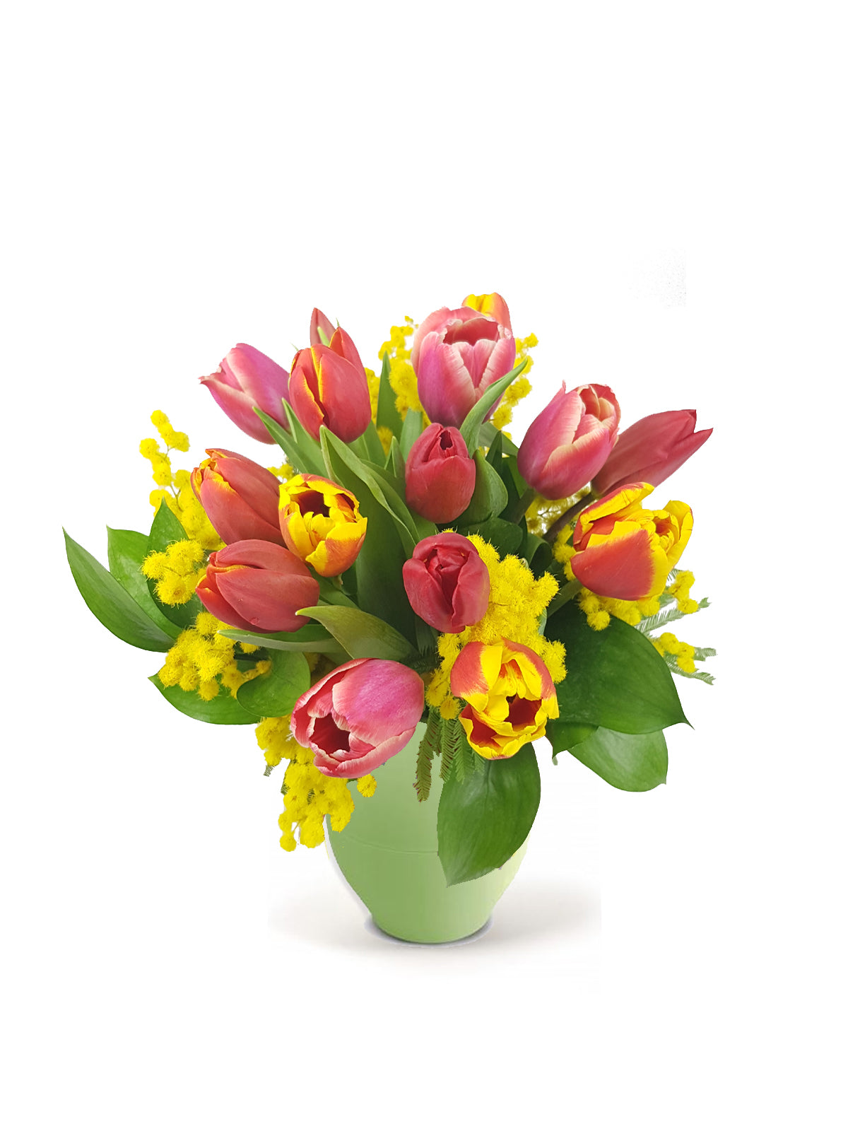 Tulipani con Mimosa