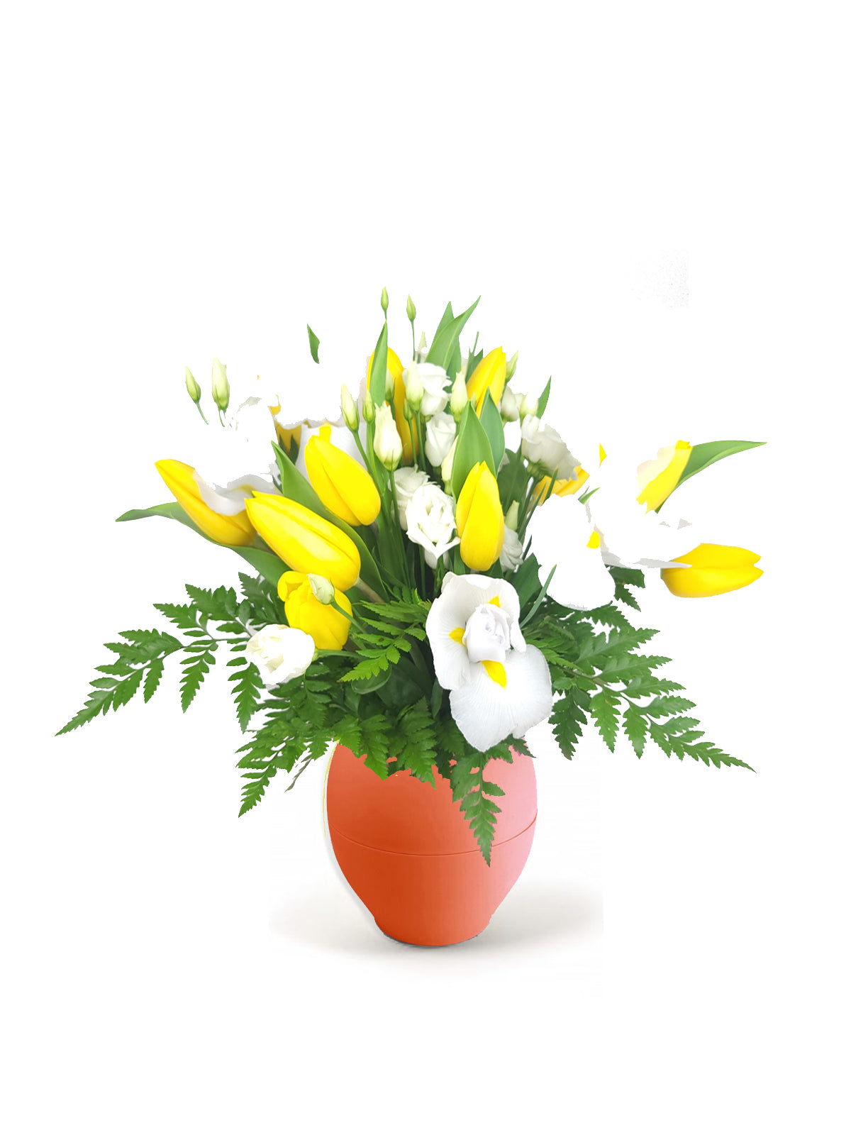 Tulipani Gialli in Bianco