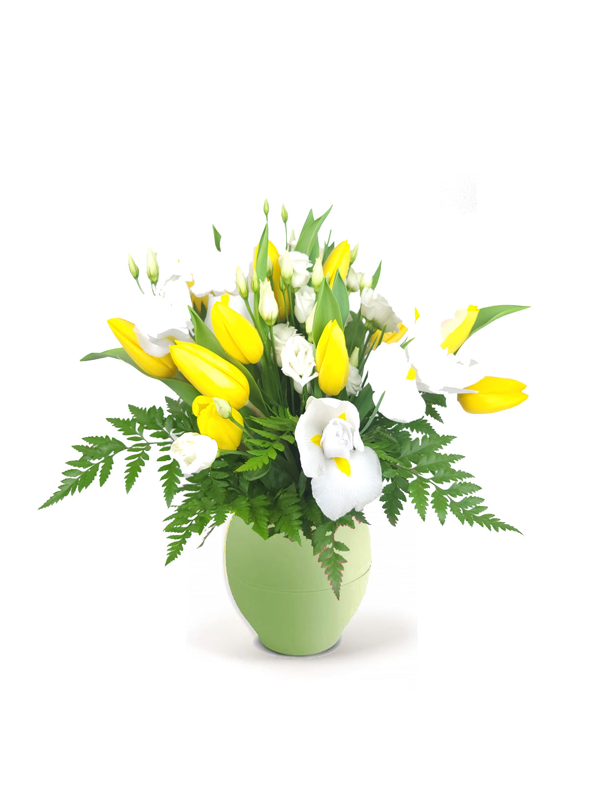 Tulipani Gialli in Bianco