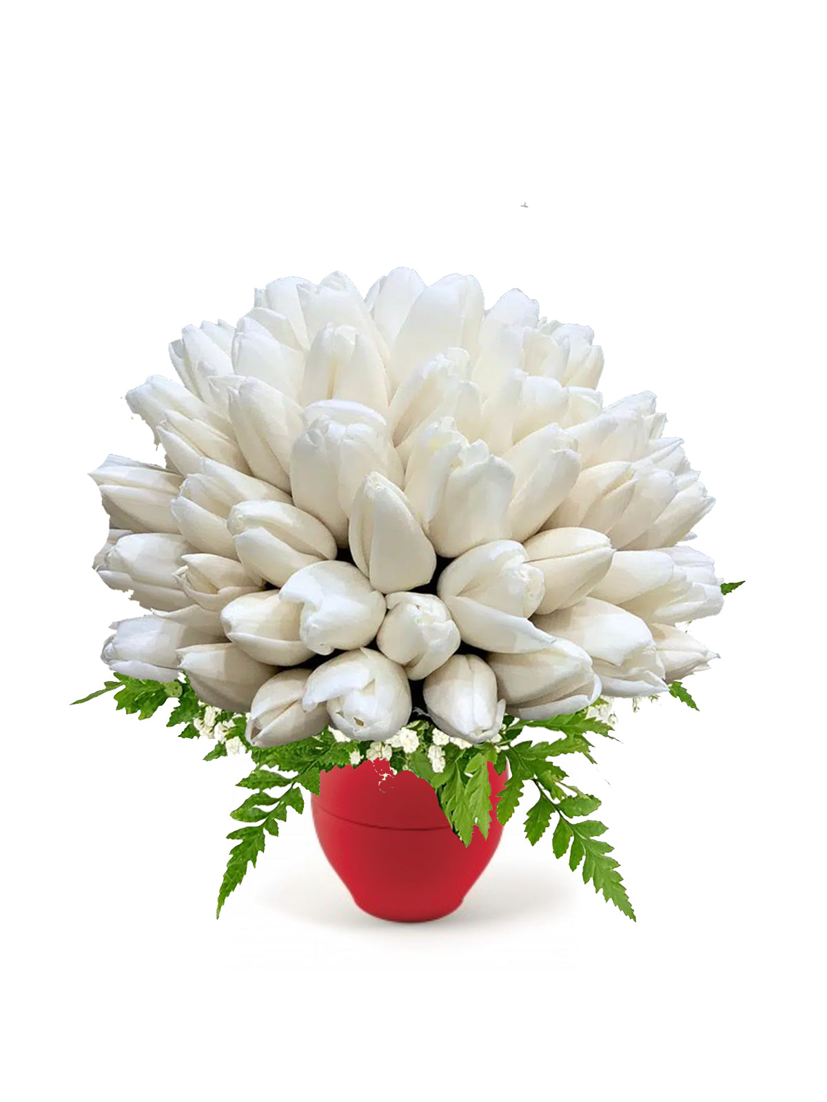 Bouquet di Tulipani Bianchi - Casa delle Piante